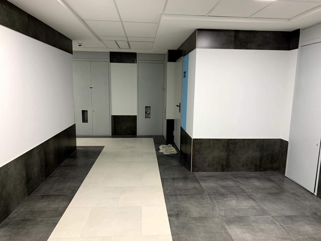 Журавли фото Журавли фото