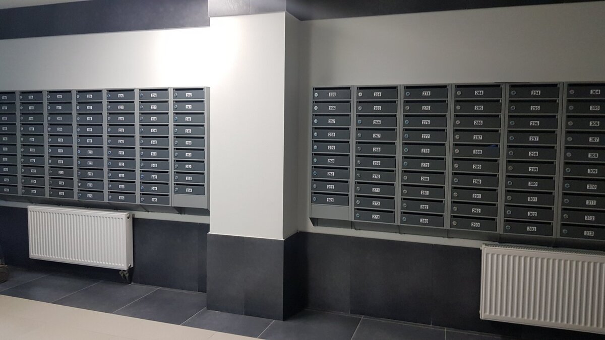 Журавли фото Журавли фото