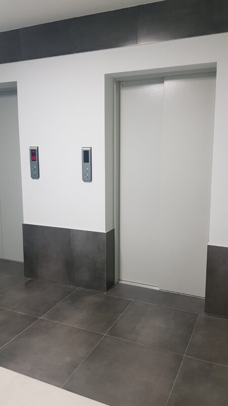 Журавли фото Журавли фото