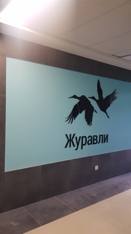 Журавли фото Журавли фото