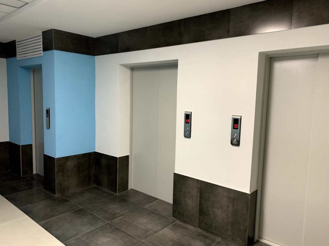 Журавли фото Журавли фото